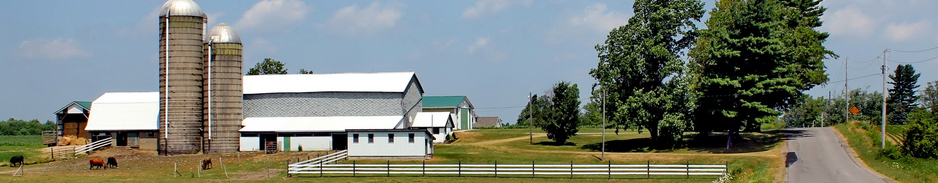 Livestock farming installations licensing